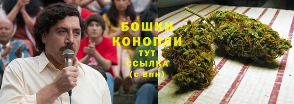 тгк Богородск