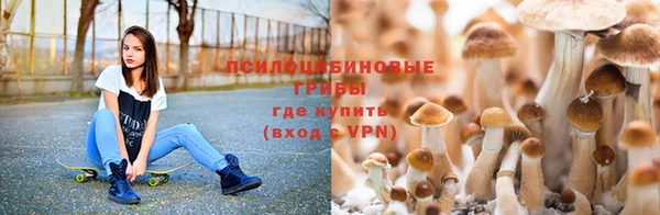 MESCALINE Балабаново